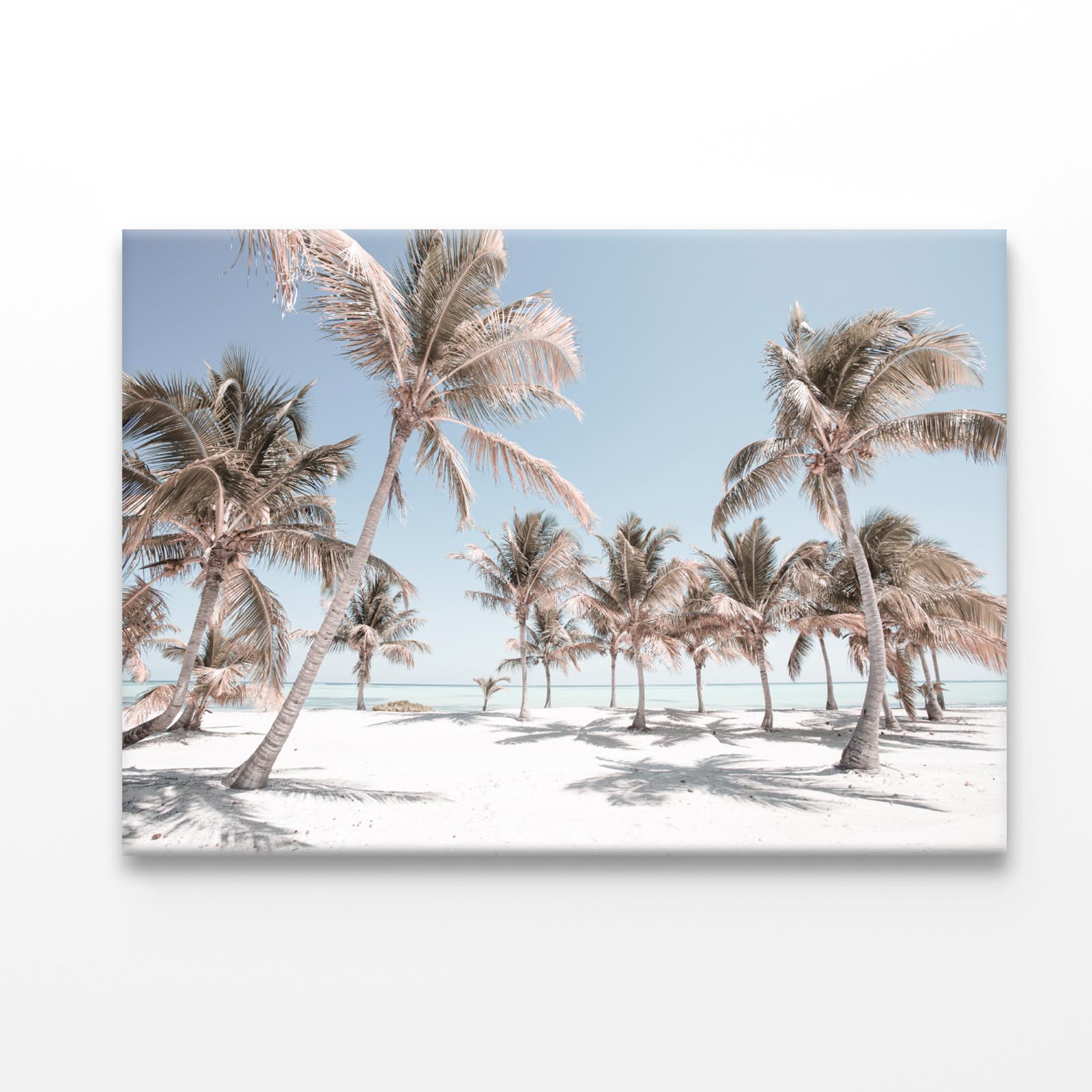 Palm Trees and Sandy Beach Acrylic Glass Print Tempered Glass Wall Art 100% Made in Australia Ready to Hang