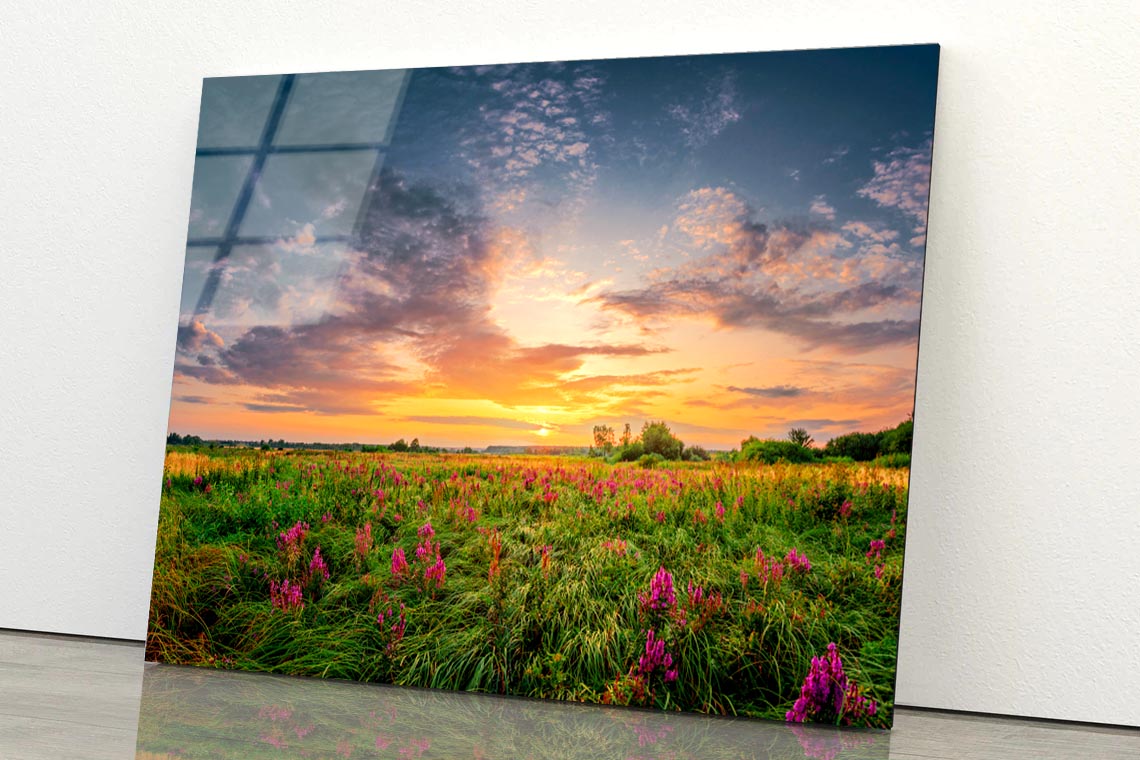 Sun Set Landscape with A Wild Field Full of Purple Flowers Acrylic Glass Print Tempered Glass Wall Art 100% Made in Australia Ready to Hang - Bella Home Decor