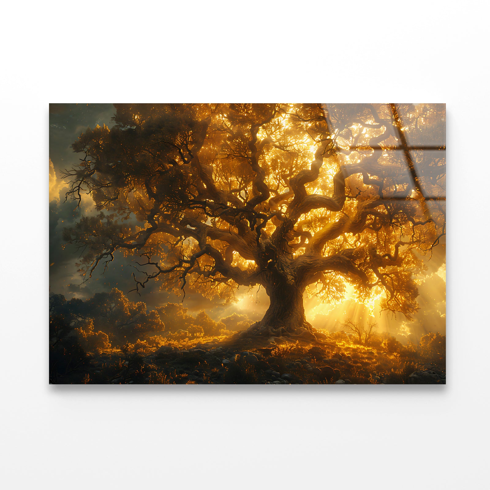Sunset in the Forest View Acrylic Glass Print Tempered Glass Wall Art 100% Made in Australia Ready to Hang - Bella Home Decor