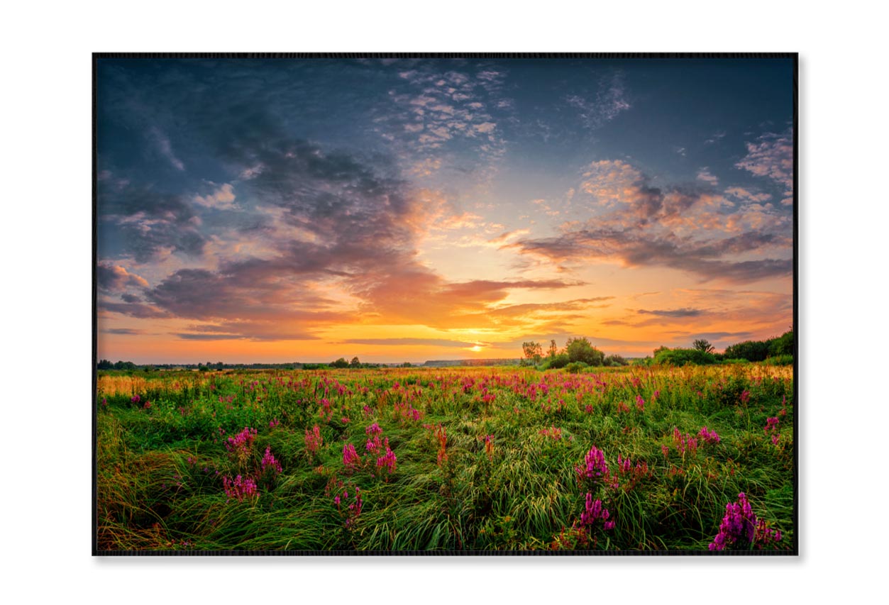 Sun Set Landscape with A Wild Field Full of Purple Flowers Home Decor Premium Quality Poster Print Choose Your Sizes