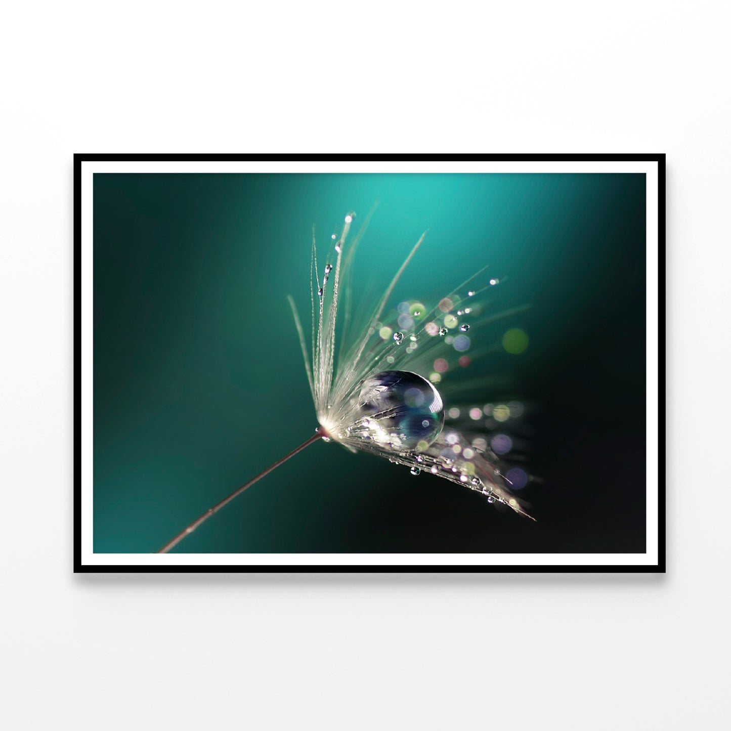 Water Droplet on Common Dandelion Home Decor Premium Quality Poster Print Choose Your Sizes