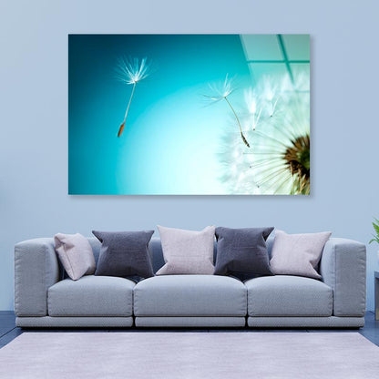 Dandelion Blowing in The Wind with A Blue Sky Acrylic Glass Print Tempered Glass Wall Art 100% Made in Australia Ready to Hang