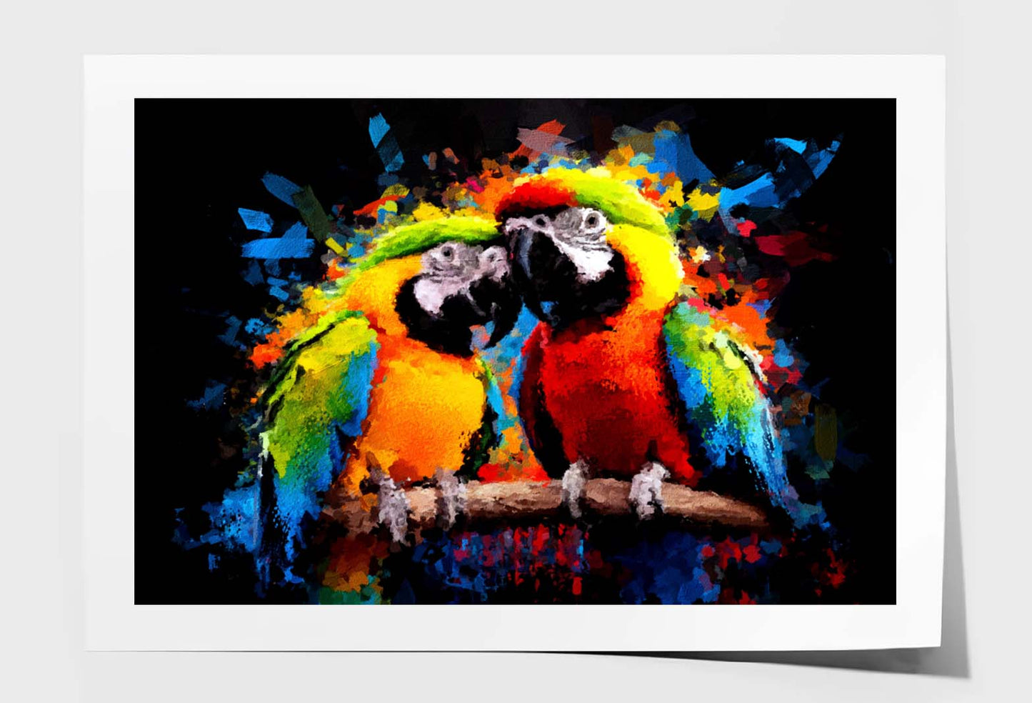 Modern Colorful Lovely Couple Parrot Wall Art Limited Edition High Quality Print