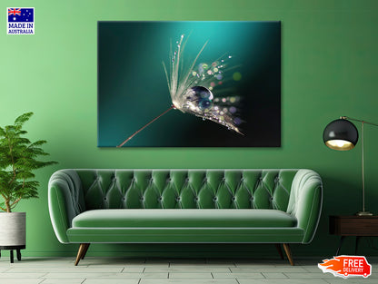 Water Droplet on Common Dandelion Print 100% Australian Made - Bella Home Decor
