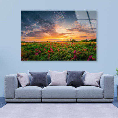 Sun Set Landscape with A Wild Field Full of Purple Flowers Acrylic Glass Print Tempered Glass Wall Art 100% Made in Australia Ready to Hang - Bella Home Decor