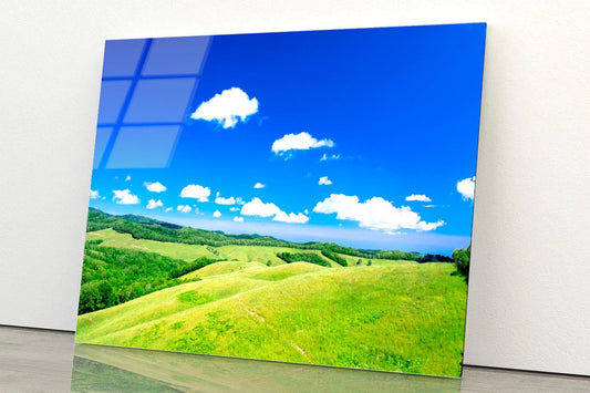 Grassland Scenery of the Northern Land Acrylic Glass Print Tempered Glass Wall Art 100% Made in Australia Ready to Hang