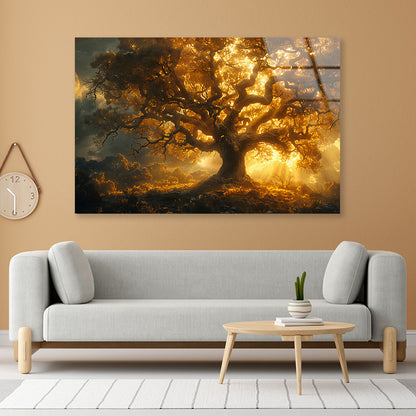 Sunset in the Forest View Acrylic Glass Print Tempered Glass Wall Art 100% Made in Australia Ready to Hang - Bella Home Decor