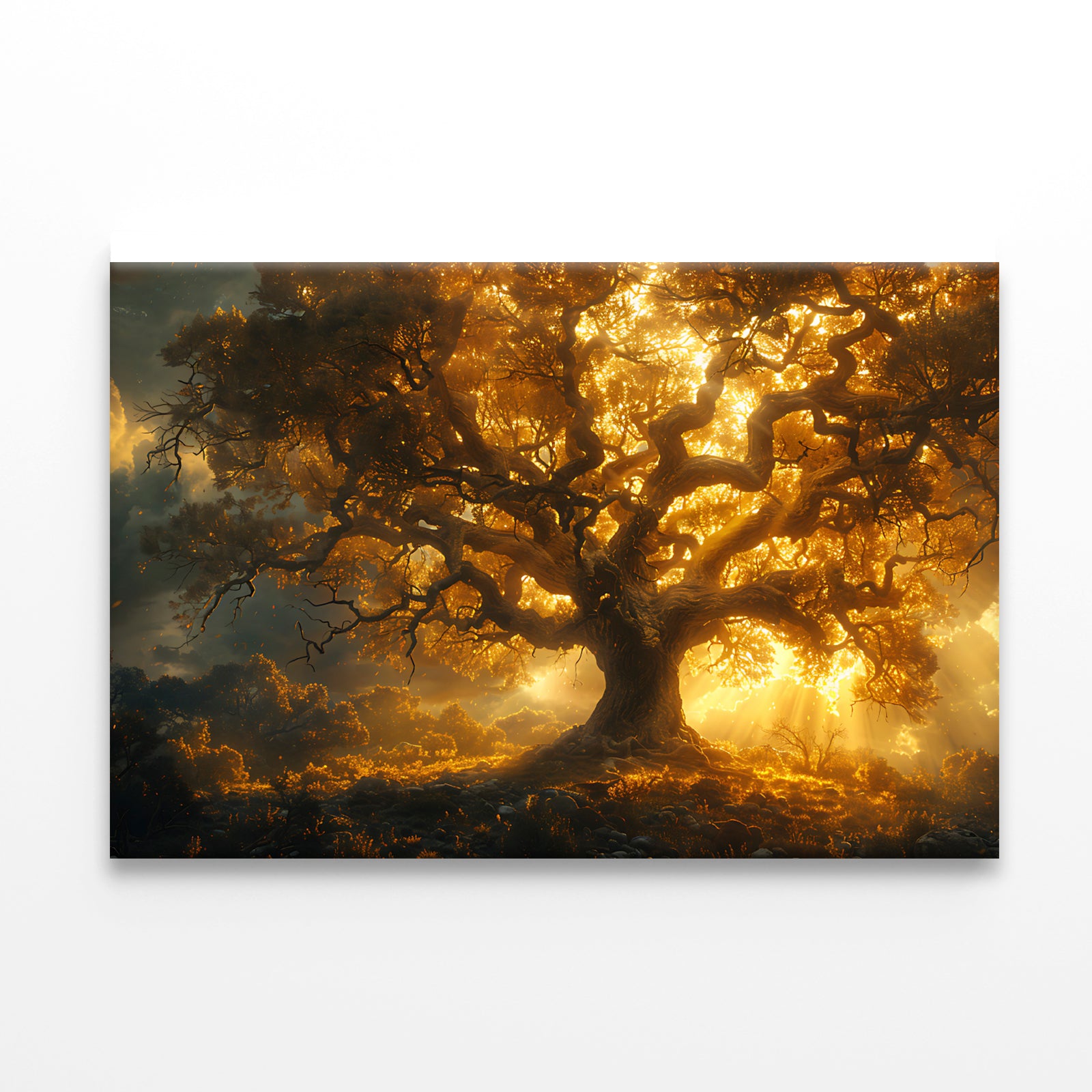 Sunset in the Forest View Print 100% Australian Made - Bella Home Decor