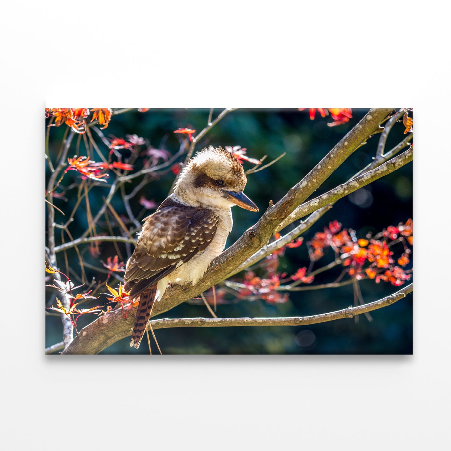 Bird On Branch Red with Flower Print 100% Australian Made - Bella Home Decor