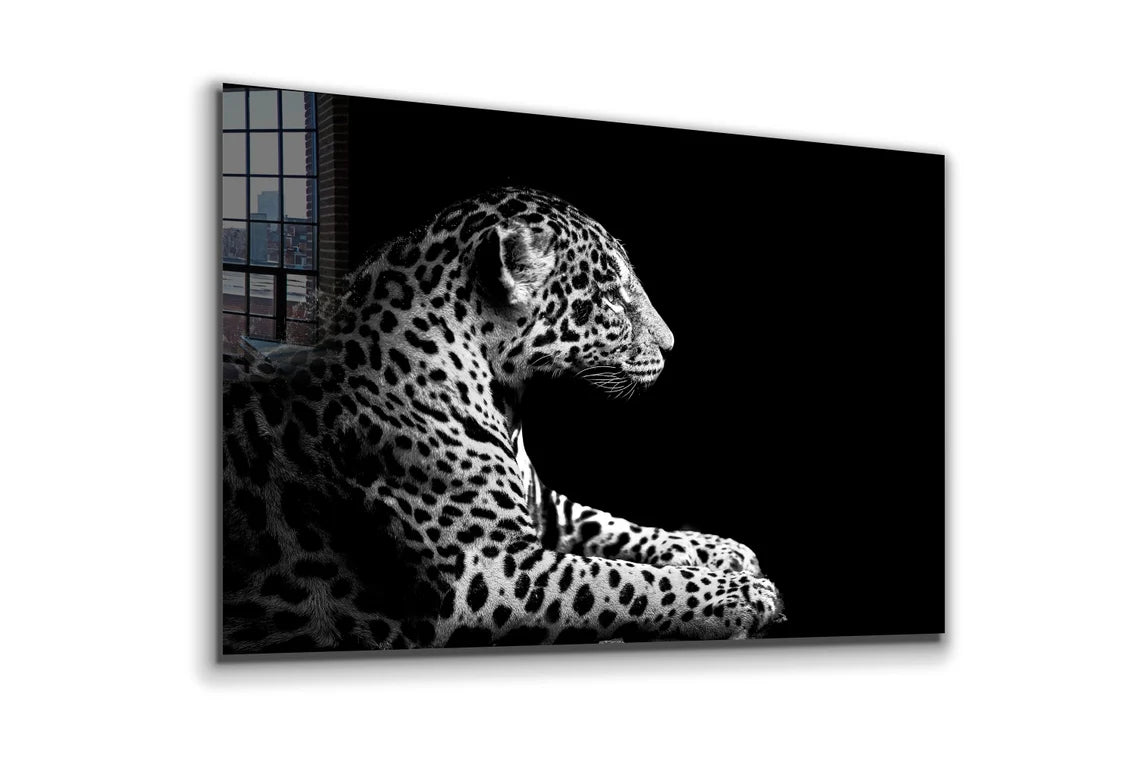 Leopard B&W View UV Direct Aluminum Print Australian Made Quality