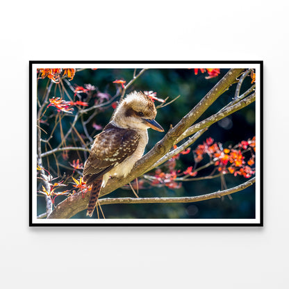 Bird On Branch Red with Flower Home Decor Premium Quality Poster Print Choose Your Sizes - Bella Home Decor