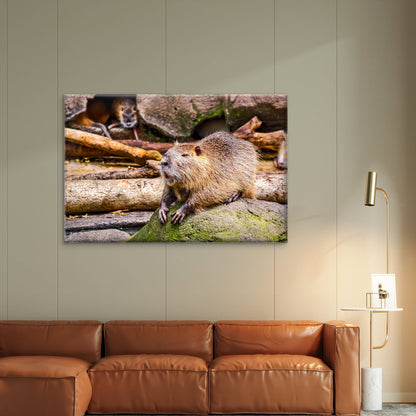 South American Nutria Sits on a Mossy Rock Wall Art Decor 100% Australian Made