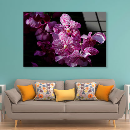 A Close-Up Photo Of Purple Orchid Flowers Acrylic Glass Print Tempered Glass Wall Art 100% Made in Australia Ready to Hang