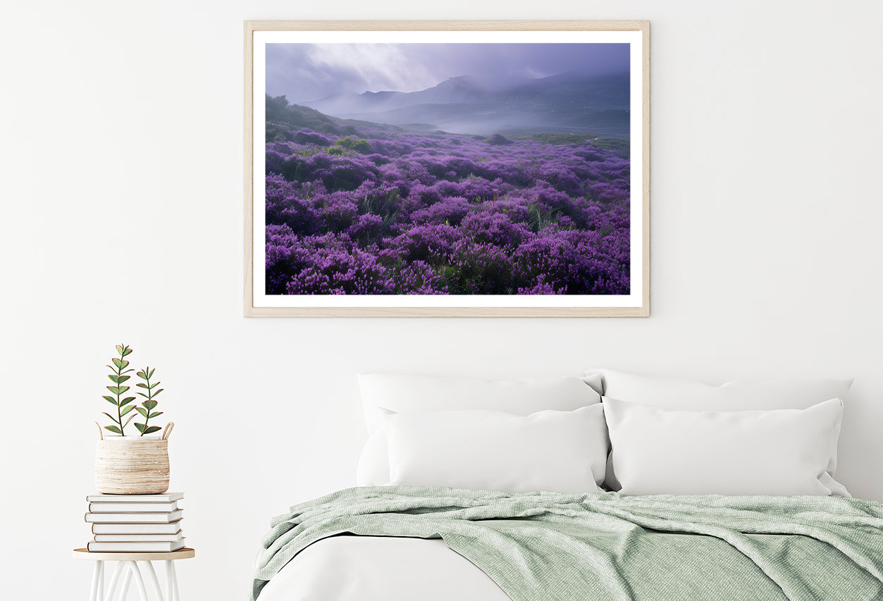 Very Beautiful View at Heather Meadows Home Decor Premium Quality Poster Print Choose Your Sizes - Bella Home Decor