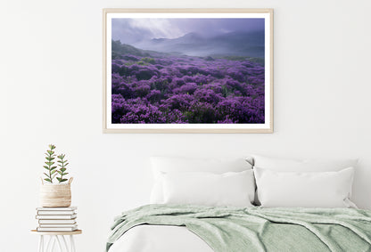 Very Beautiful View at Heather Meadows Home Decor Premium Quality Poster Print Choose Your Sizes - Bella Home Decor