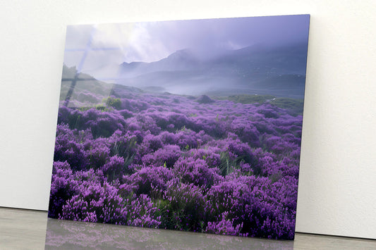Very Beautiful View at Heather Meadows Acrylic Glass Print Tempered Glass Wall Art 100% Made in Australia Ready to Hang