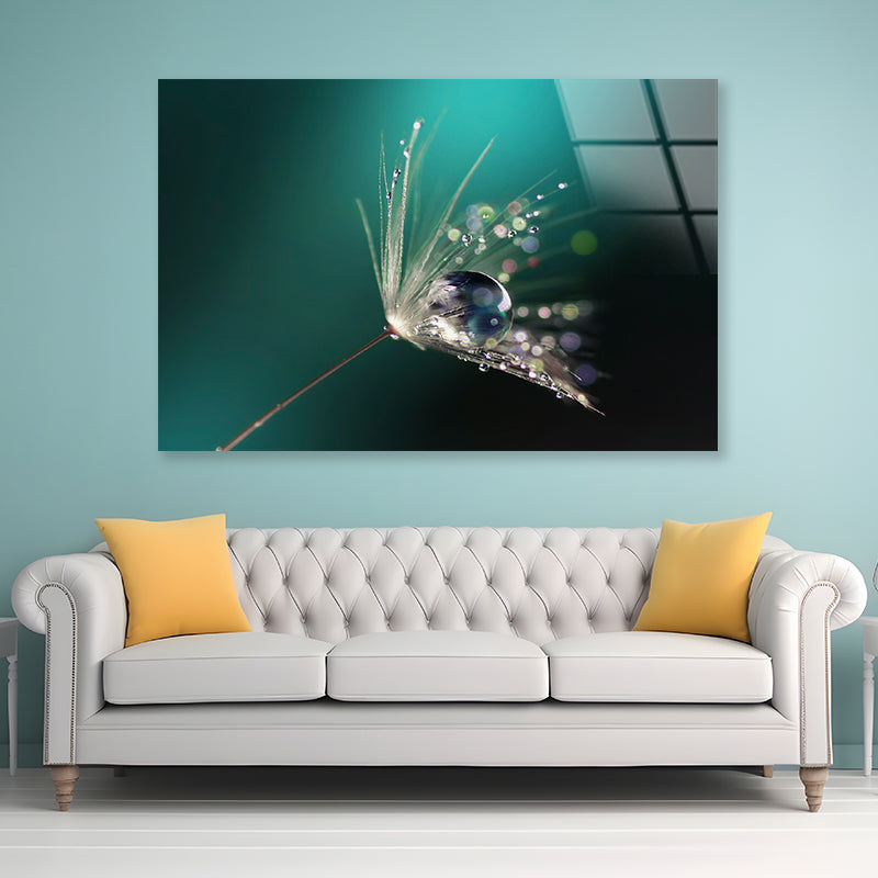 Water Droplet on Common Dandelion Acrylic Glass Print Tempered Glass Wall Art 100% Made in Australia Ready to Hang - Bella Home Decor