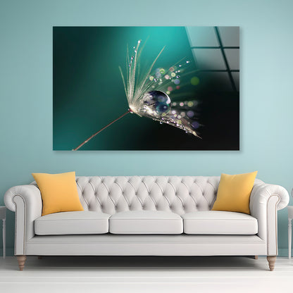 Water Droplet on Common Dandelion Acrylic Glass Print Tempered Glass Wall Art 100% Made in Australia Ready to Hang - Bella Home Decor