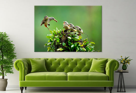 Small Minivet Feeding Young Wall Art Decor 100% Australian Made
