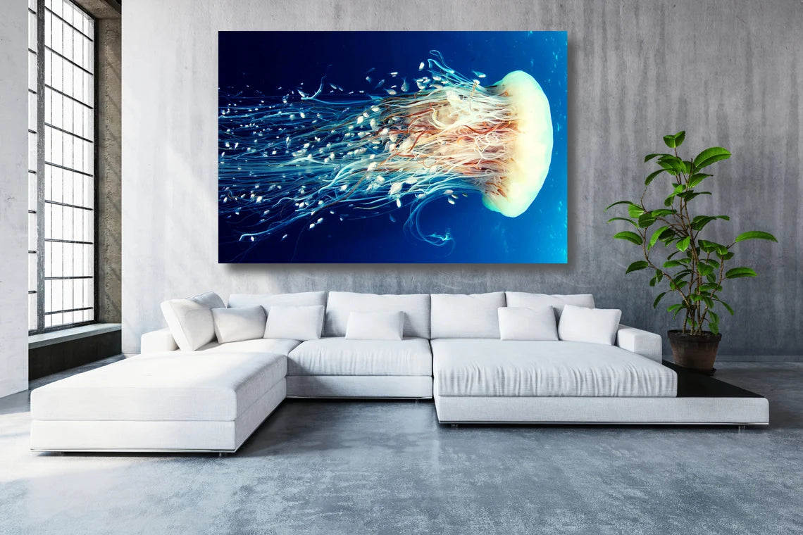 Jelly Fish UV Direct Aluminum Print Australian Made Quality