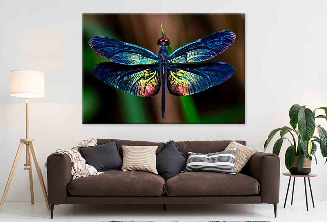 Beautiful Wing of Dragonfly Wall Art Decor 100% Australian Made - Bella Home Decor