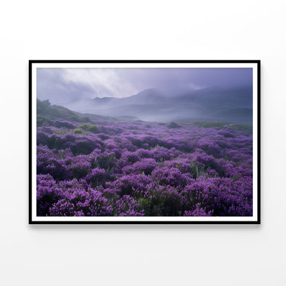 Very Beautiful View at Heather Meadows Home Decor Premium Quality Poster Print Choose Your Sizes - Bella Home Decor