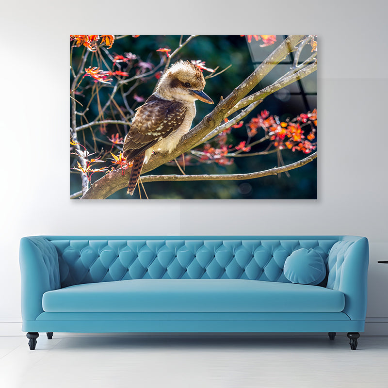 Bird On Branch Red with Flower Acrylic Glass Print Tempered Glass Wall Art 100% Made in Australia Ready to Hang - Bella Home Decor