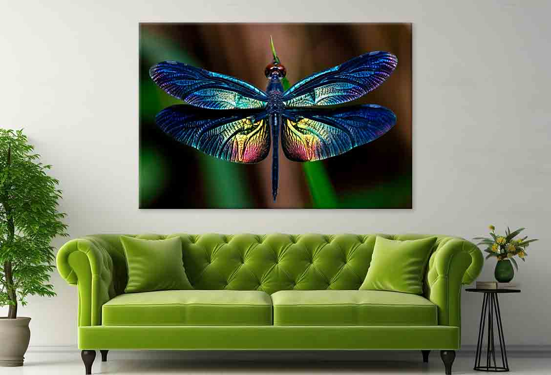 Beautiful Wing of Dragonfly Wall Art Decor 100% Australian Made - Bella Home Decor