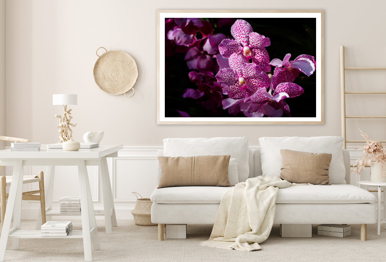 A Close-Up Photo Of Purple Orchid Flowers Home Decor Premium Quality Poster Print Choose Your Sizes