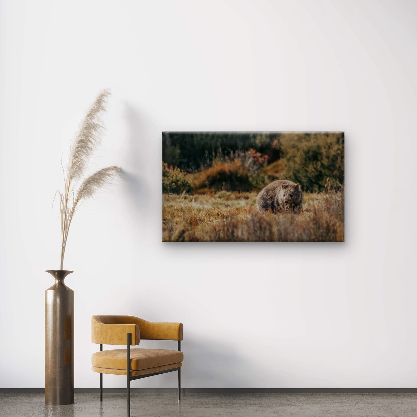 Common Wombat Foraging in the Alpine Heaths of Cradle Mountain Wall Art Decor 100% Australian Made
