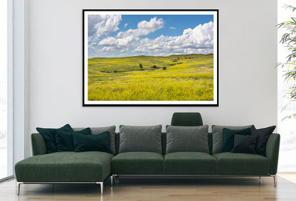 View of a Field Of Yellow Flowers under a Cloudy Sky Home Decor Premium Quality Poster Print Choose Your Sizes