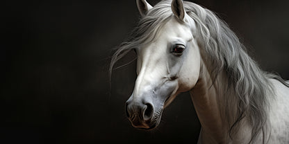 Realistic White Horse Head Wall Art Canvas Office Home Room Framed 120x60cm - Bella Home Decor