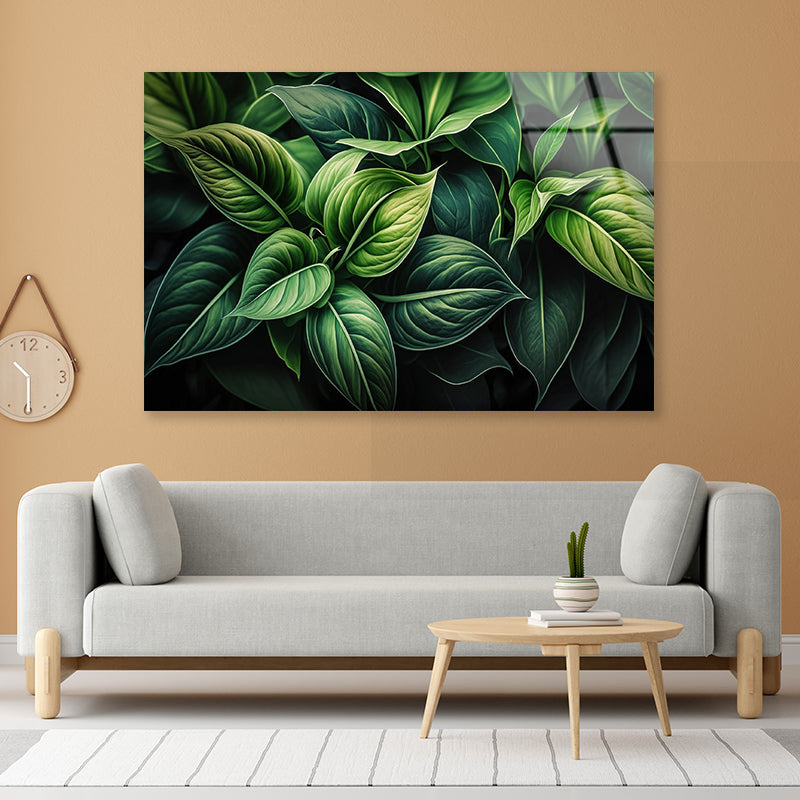 Green Leaves Close up Acrylic Glass Print Tempered Glass Wall Art 100% Made in Australia Ready to Hang - Bella Home Decor