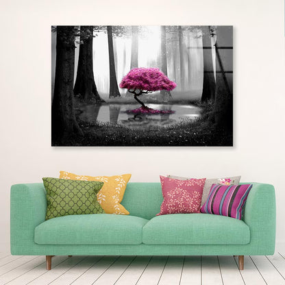 Pink Tree B&W Forest Acrylic Glass Print Tempered Glass Wall Art 100% Made in Australia Ready to Hang