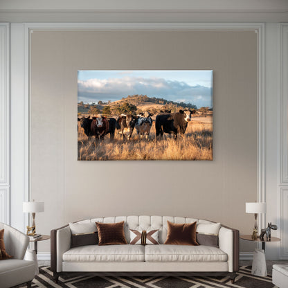 Australian Farm Cattle at Sunset Wall Art Decor 100% Australian Made