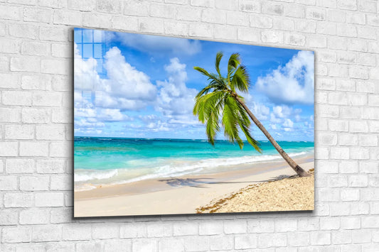 Palm Tropical Beach UV Direct Aluminum Print Australian Made Quality