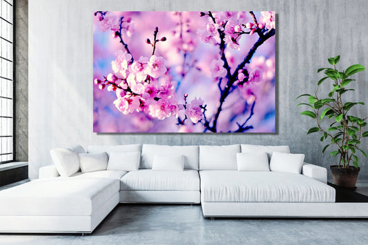Japanese Cherry Blossom Acrylic Glass Print Tempered Glass Wall Art 100% Made in Australia Ready to Hang
