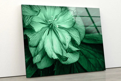 Green Flower Closeup UV Direct Aluminum Print Australian Made Quality