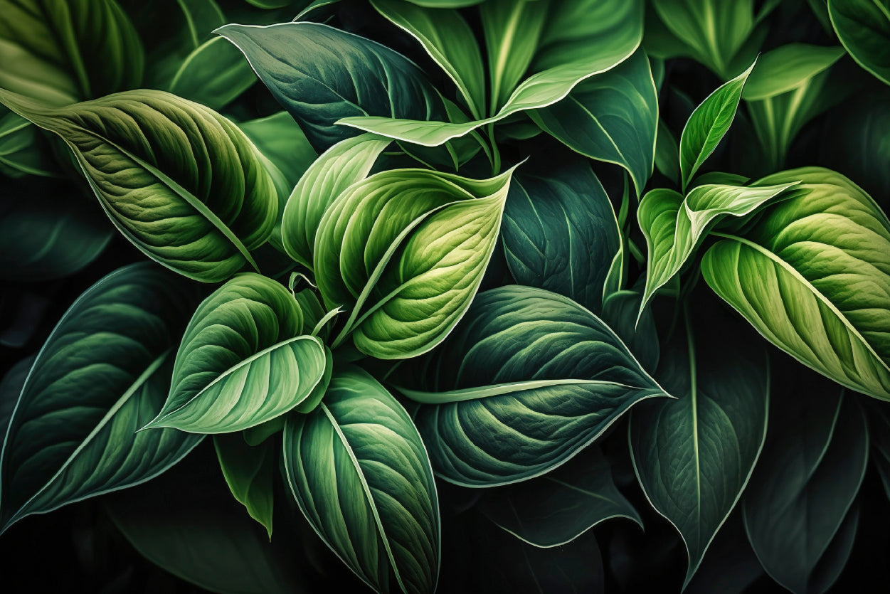Green Leaves Close up Print 100% Australian Made - Bella Home Decor
