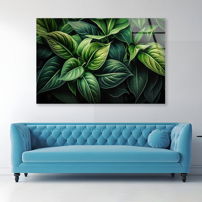 Green Leaves Close up Acrylic Glass Print Tempered Glass Wall Art 100% Made in Australia Ready to Hang - Bella Home Decor