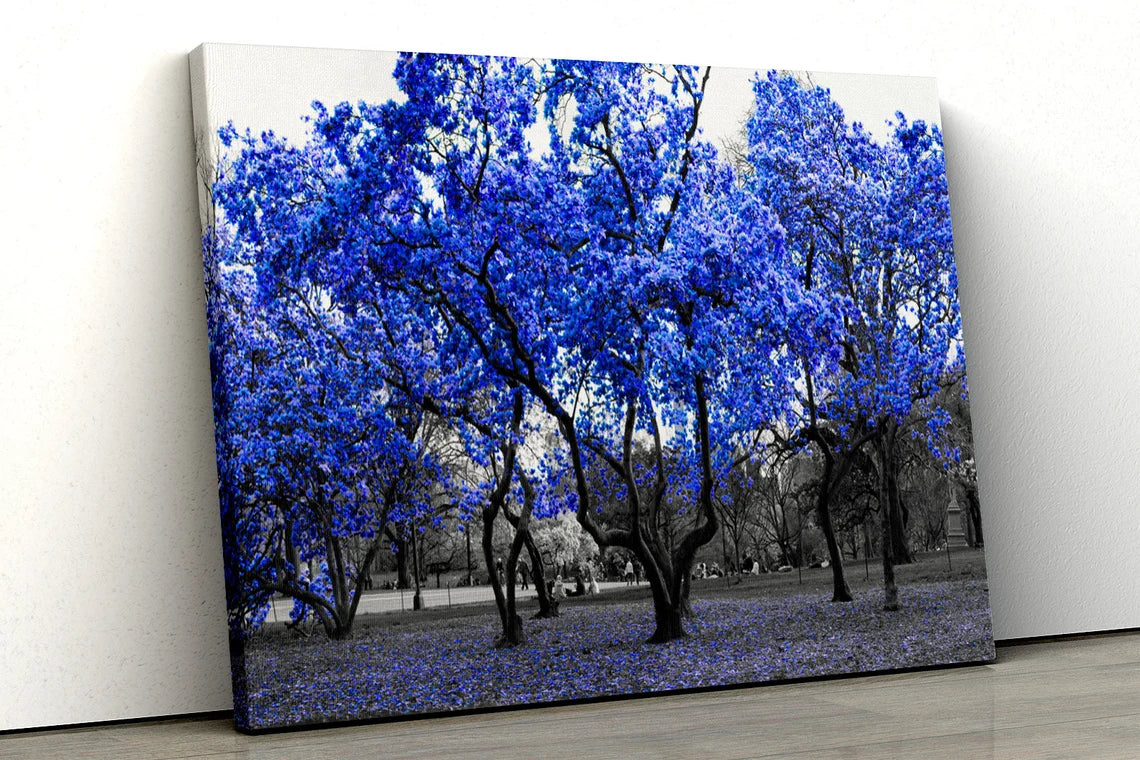 Large Blue trees black white UV Direct Aluminum Print Australian Made Quality