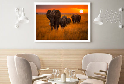 Elephants Walking Through a Field at Sunset View Home Decor Premium Quality Poster Print Choose Your Sizes