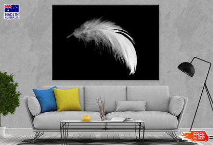 White Feather Closeup B&W View Photograph 90x60cm Print 100% Australian Made