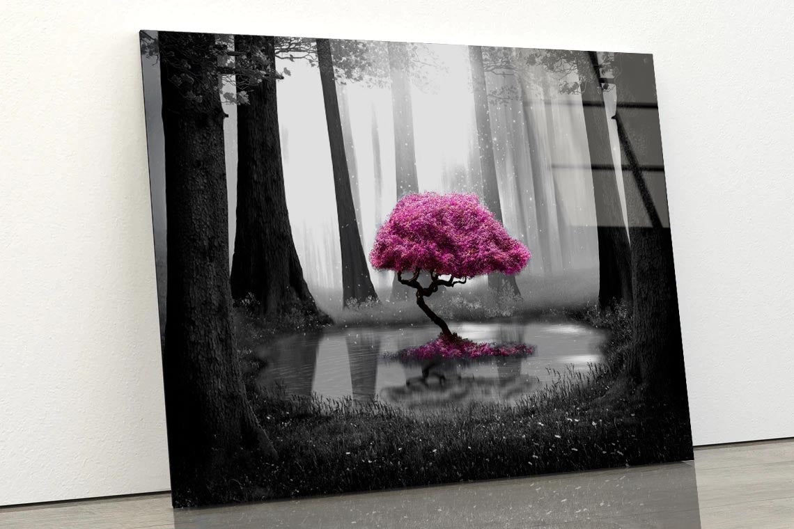 Pink Tree B&W Forest Acrylic Glass Print Tempered Glass Wall Art 100% Made in Australia Ready to Hang