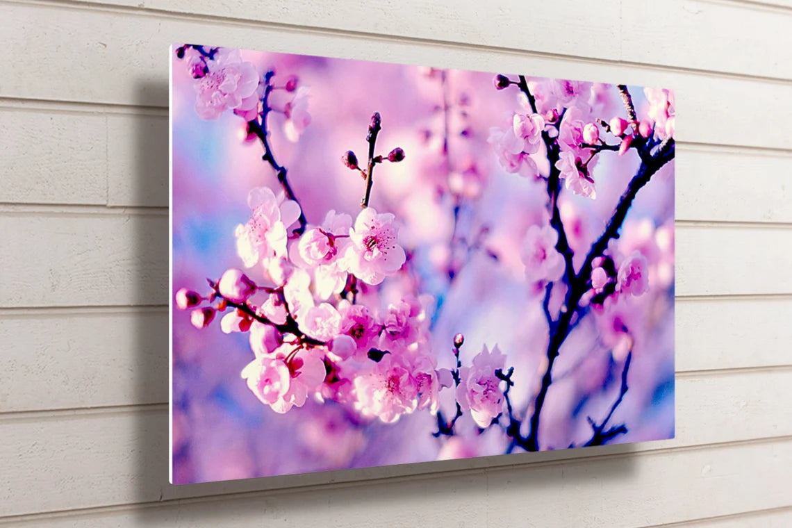 Purple Cherry Blossom Flower UV Direct Aluminum Print Australian Made Quality