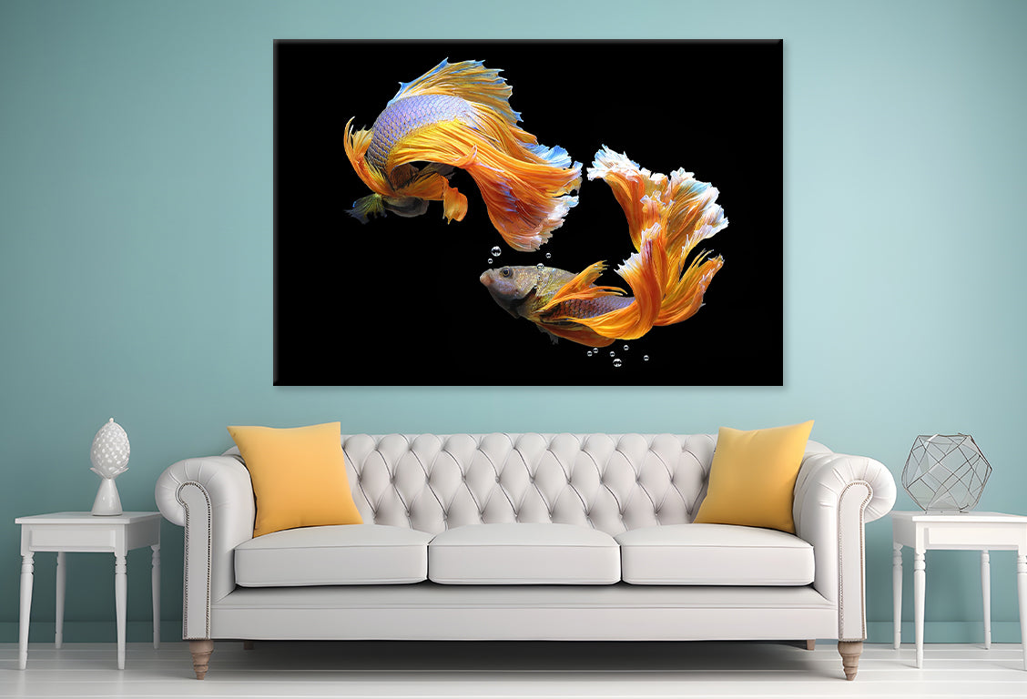 Fighting Fish Wall Art Decor 100% Australian Made - Bella Home Decor