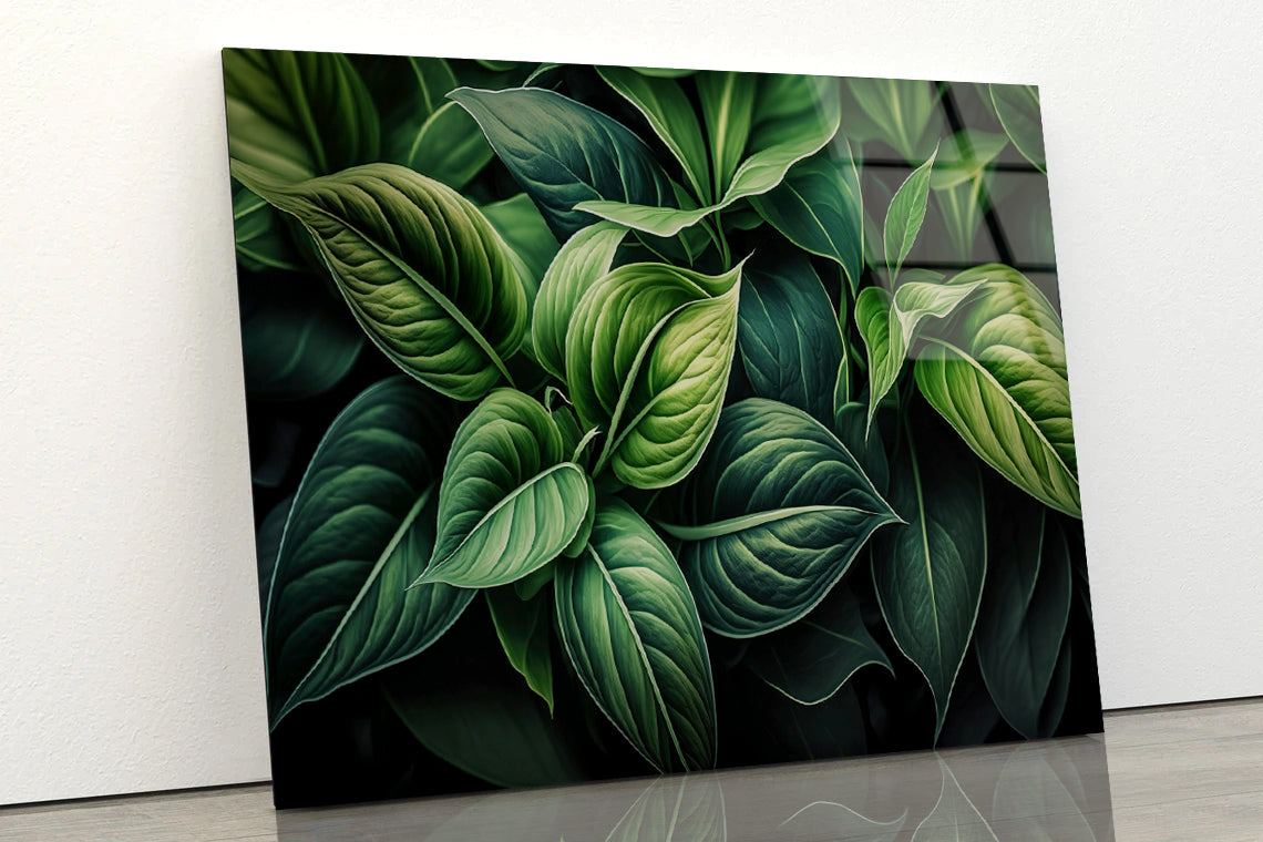 Green Leaves Close up Acrylic Glass Print Tempered Glass Wall Art 100% Made in Australia Ready to Hang - Bella Home Decor