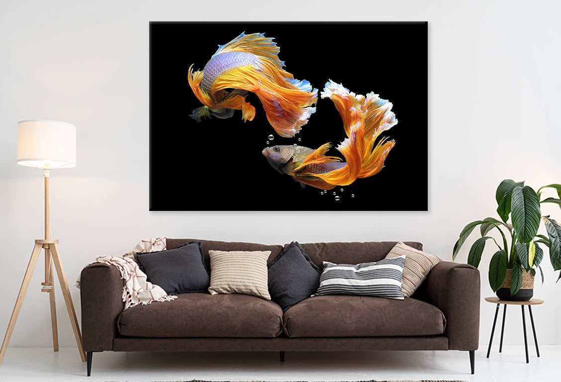 Fighting Fish Wall Art Decor 100% Australian Made - Bella Home Decor