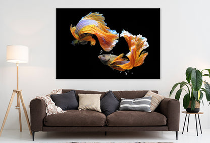 Fighting Fish Wall Art Decor 100% Australian Made - Bella Home Decor