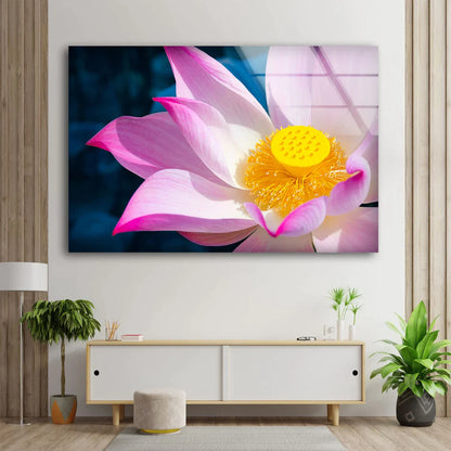 Pink Lotus Flower View UV Direct Aluminum Print Australian Made Quality